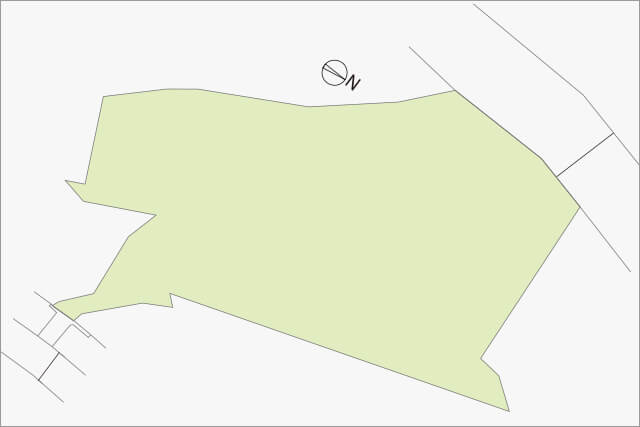 DELIS MACHIDA-NARUSE